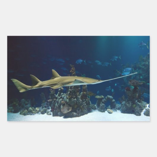 Strikter Sawfish Rechteckiger Aufkleber (Vorderseite)