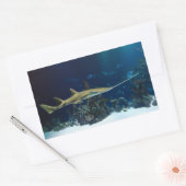Strikter Sawfish Rechteckiger Aufkleber (Umschlag)