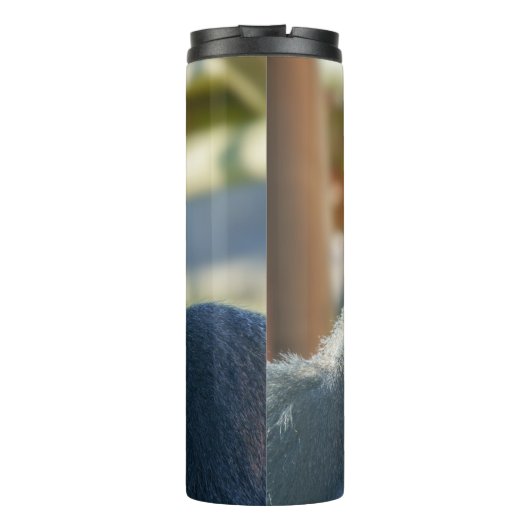 Strikter Silverback-Kaffee Thermosbecher (Rückseite)