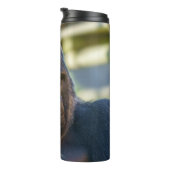 Strikter Silverback-Kaffee Thermosbecher (Nach rechts gedreht)