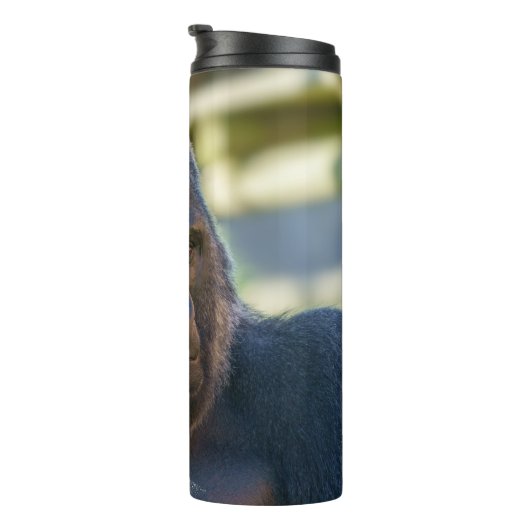 Strikter Silverback-Kaffee Thermosbecher (Nach rechts gedreht)