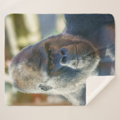 Striktes Silverback Fleece Blanket Sherpadecke (Vorderseite (Horizontal))