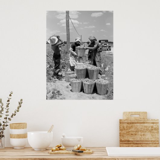 String Bean Pickers in Maryland: 1937 Poster (Küche)