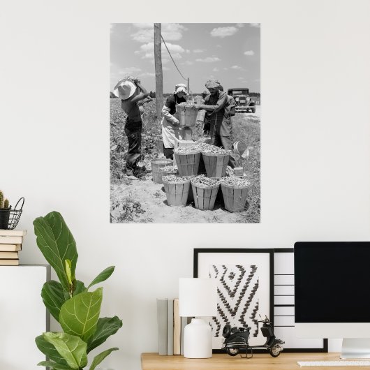 String Bean Pickers in Maryland: 1937 Poster (Heimbüro)