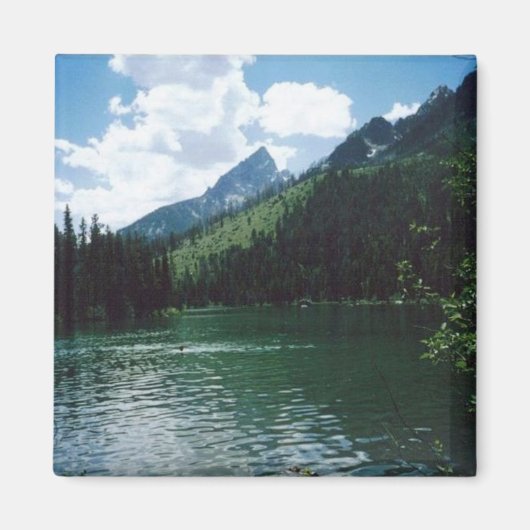 String Lake - Grand Teton Magnet (Vorne)