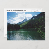 String Lake - Yellowstone Postkarte (Vorne/Hinten)