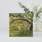 String-Leuchten, Fireflies Save the Date-Karte Save The Date (Stehend Vorderseite)