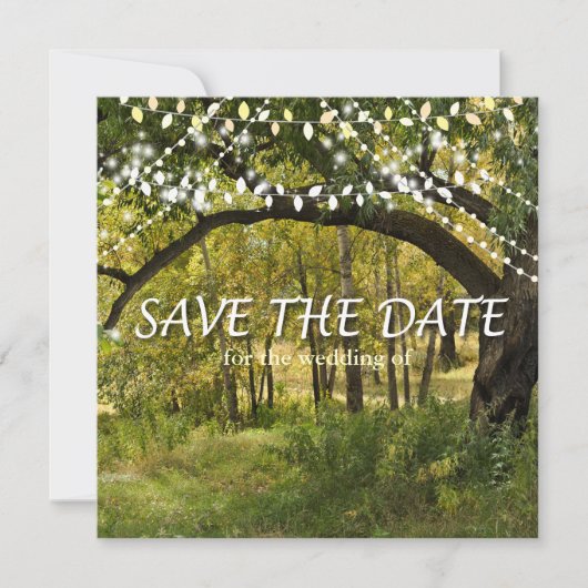 String-Leuchten, Fireflies Save the Date-Karte Save The Date (Vorderseite)