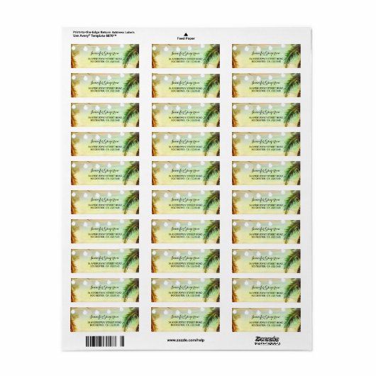 String Lights Palms Beach Sunset Return Wedding (Vorne)