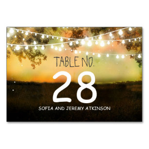 String lights Wedding Tischnummer Card Platzkarte