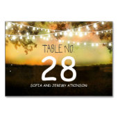 String lights Wedding Tischnummer Card Platzkarte (Rückseite)