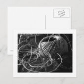 String Postkarte (Vorne/Hinten)