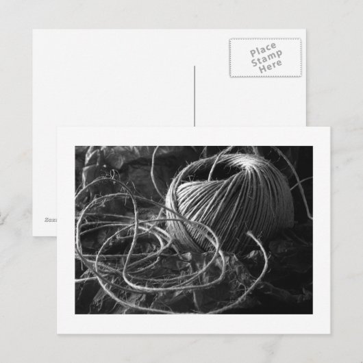 String Postkarte (Vorne/Hinten)