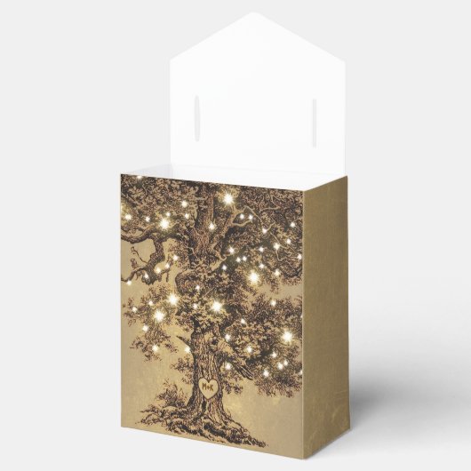 Stringleuchten alte rustikale Gastgeschenk Hochzei Geschenkschachtel (Geöffnet)