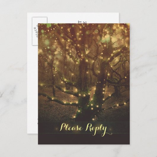 Stringleuchten Forstbäume UAWG Postkarten (Vorne/Hinten)