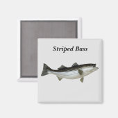 Strip Bass Magnet (Vorderseite/Rückseite)
