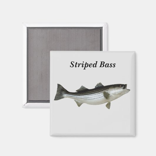 Strip Bass Magnet (Vorderseite/Rückseite)