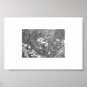 Strip Cycle Fusion Poster (Vorne)