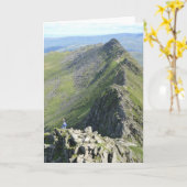 Strip Edge - English Lake District Karte (Gelbe Blume)