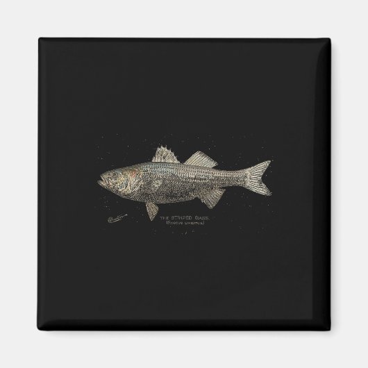 Striped B Fishing  Magnet (Vorne)