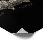 Striped B Fishing Poster (Ecke)