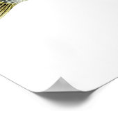 Striped Bass Art Poster (Ecke)