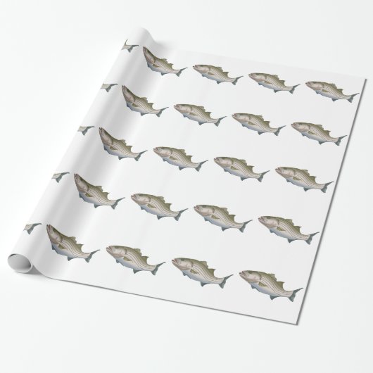 STRIPED BASS GESCHENKPAPIER (Ungerollt)