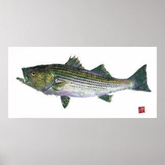 Striped Bass Gyotaku Open Edition Poster