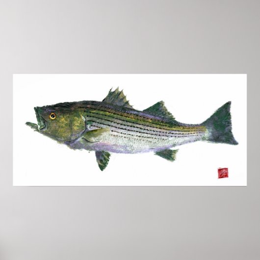 Striped Bass Gyotaku Open Edition Poster (Vorne)