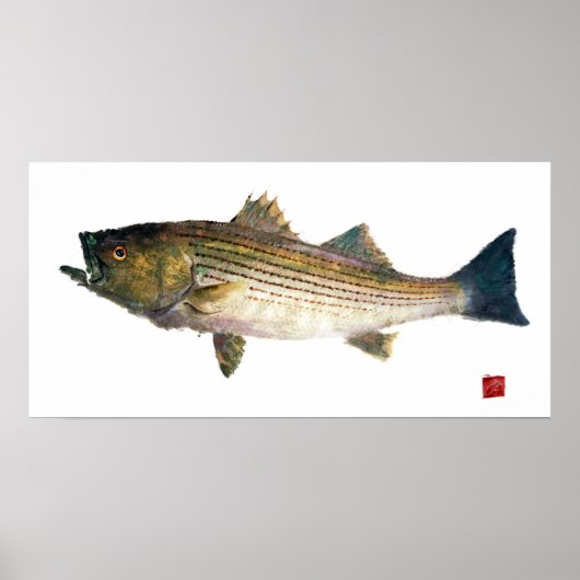 Striped Bass Gyotauku Poster (Vorne)