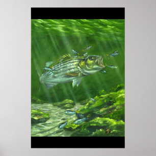 "Striped Bass on the Rocks" Poster