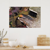Striped Blenny Poster (Küche)