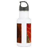 Striped Sensation Tiger Barb Fish Art Print Trinkflasche (Rückseite)