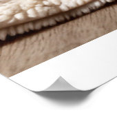 Striped Tabby Cat Photography Art Print Poster (Ecke)