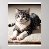 Striped Tabby Cat Photography Art Print Poster (Vorne)