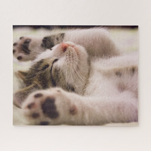 Striped Tabby Kitten Jigsaw Puzzle (Horizontal)