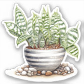 Striped Zebra Haworthia Pot Pflanze Vinyl Sticker (Vorderseite)