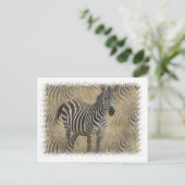 Striped Zebra Postcard Postkarte (Stehend Vorderseite)