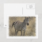 Striped Zebra Postcard Postkarte (Vorne/Hinten)