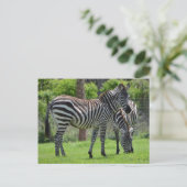 Stripes go with Everything! Postkarte (Stehend Vorderseite)