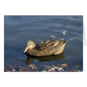 Stripey-Duck-Karte
