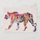 Stripey Postkarte (Vorderseite)