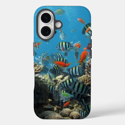 Stripey Tropical Fish Coral Chaos Case-Mate iPhone Hülle (Rückseite)