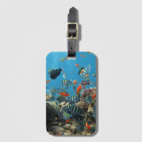 Stripey Tropical Fish Coral Chaos