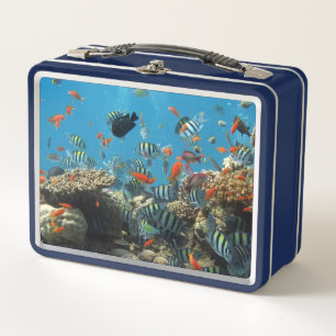 Stripey Tropical Fish Coral Chaos Metall Brotdose