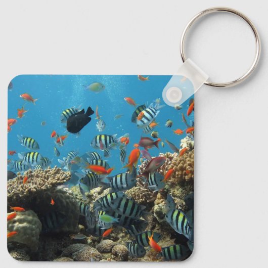 Stripey Tropical Fish Coral Chaos Schlüsselanhänger (Rückseite)