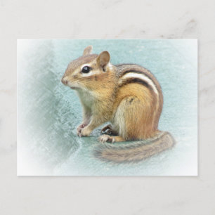Strippte Süsse - Chipmunk Postkarte