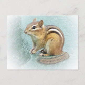 Strippte Süsse - Chipmunk Postkarte
