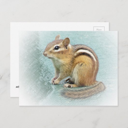 Strippte Süsse - Chipmunk Postkarte (Vorne/Hinten)