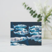 Stripte Bass School Postkarte (Stehend Vorderseite)